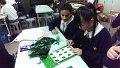 IMAG0256 (1)